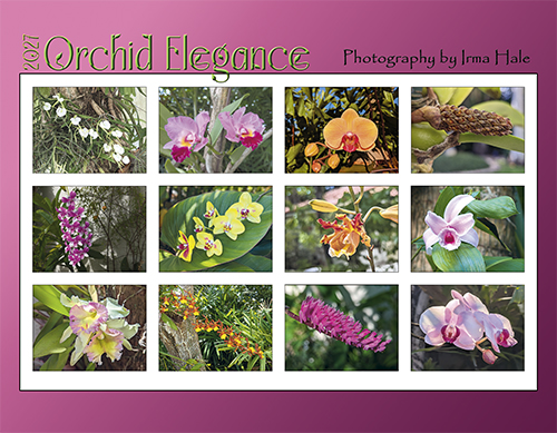 2027 Orchid Elegance Calendar Back Cover